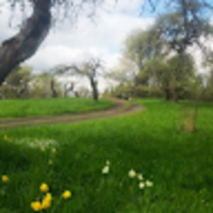 Meet your Posher, Sierra